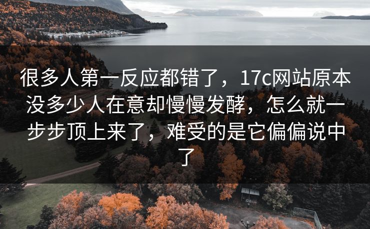 很多人第一反应都错了，17c网站原本没多少人在意却慢慢发酵，怎么就一步步顶上来了，难受的是它偏偏说中了